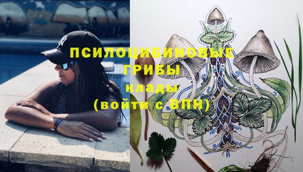 ГАЛЛЮЦИНОГЕННЫЕ ГРИБЫ Майский