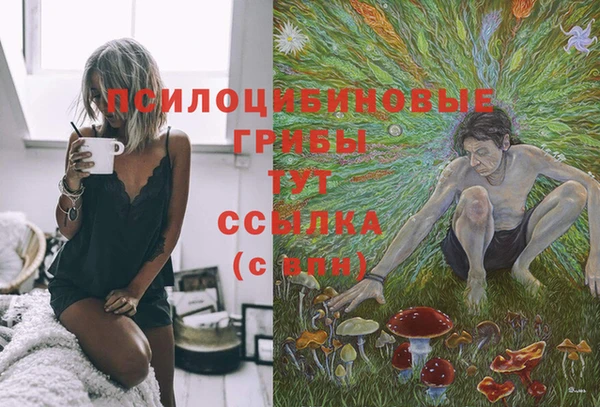 ГАЛЛЮЦИНОГЕННЫЕ ГРИБЫ Майский