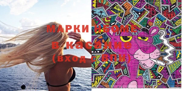 ГАЛЛЮЦИНОГЕННЫЕ ГРИБЫ Майский