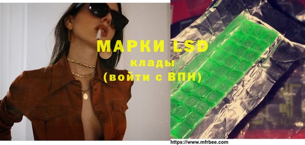 ГАЛЛЮЦИНОГЕННЫЕ ГРИБЫ Майский