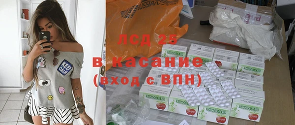 ГАЛЛЮЦИНОГЕННЫЕ ГРИБЫ Майский