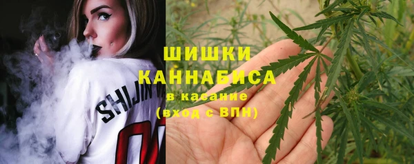 ГАЛЛЮЦИНОГЕННЫЕ ГРИБЫ Майский