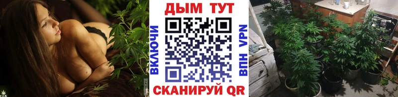 дарнет шоп  Ладушкин  Марихуана ГИДРОПОН 